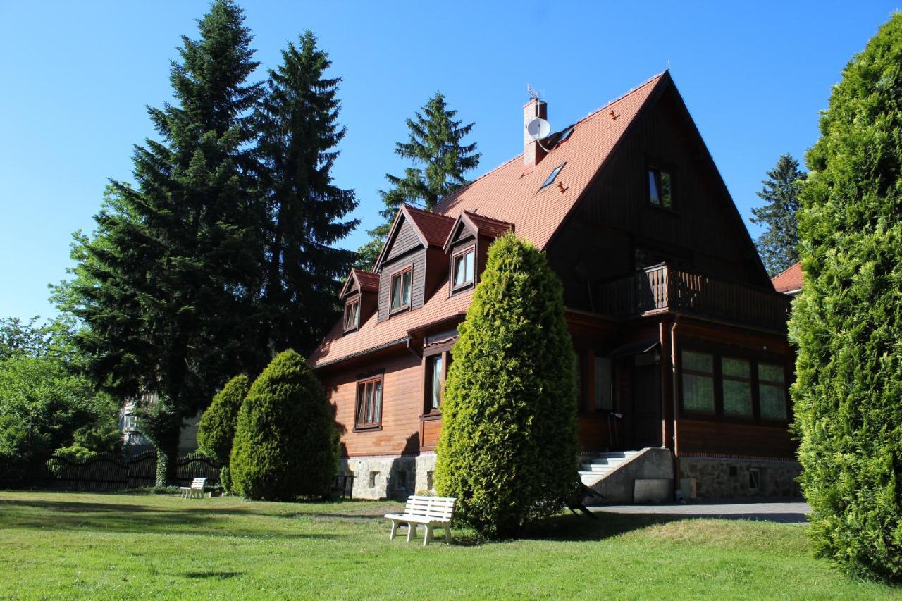 Homestay Goscinne Zlota Palma *